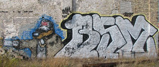 cash winnipeg graffiti wall sensr bsm